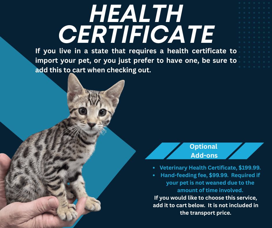 Health Certificate