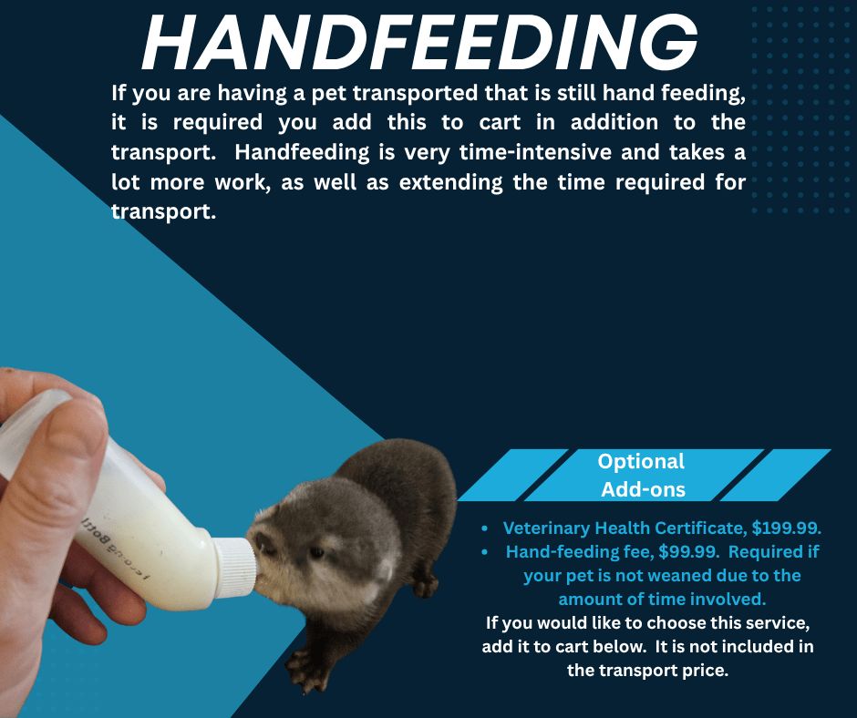 Handfeeding Fee