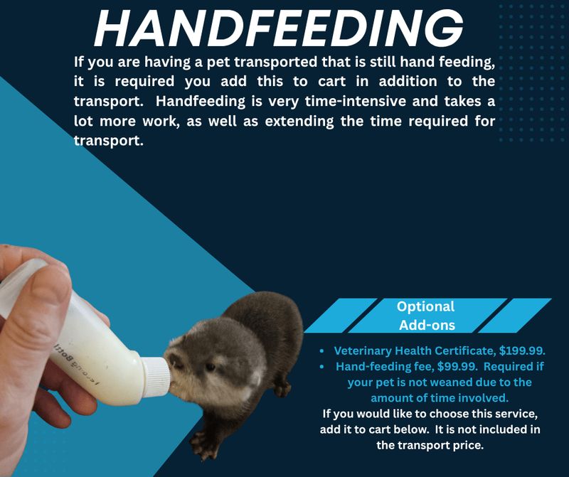 Handfeeding Fee