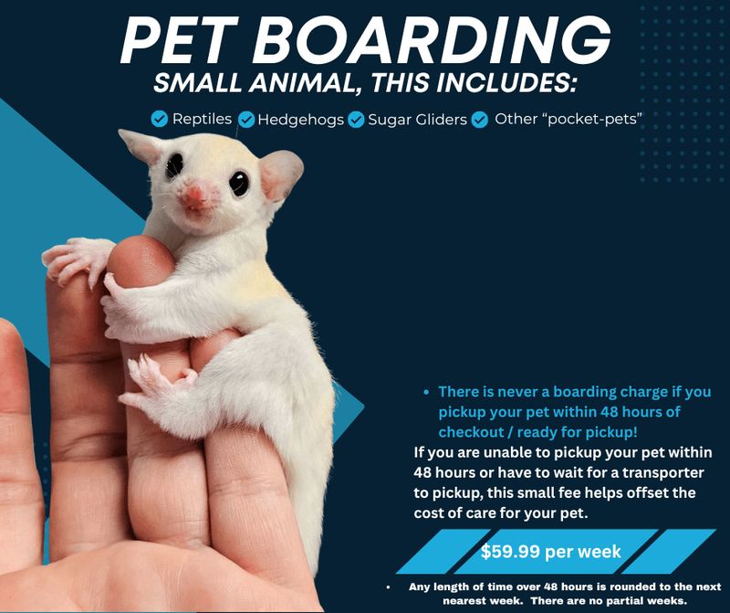 Boarding, small animal.
