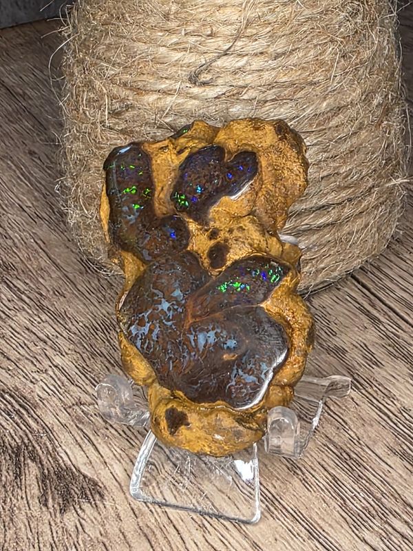 Bubble matrix Boulder Opal &amp; cabochon.  Inside "floating" display!