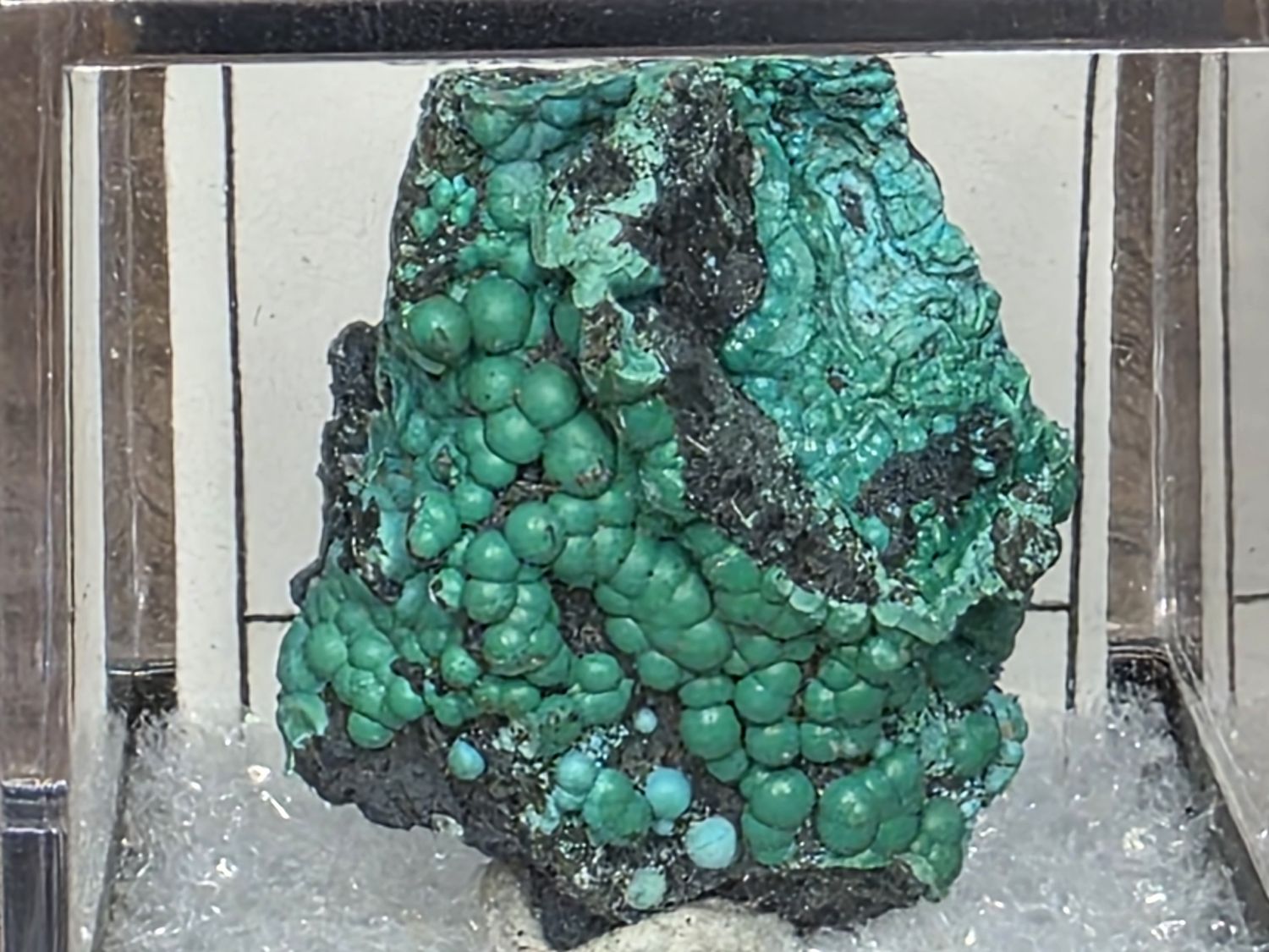 Botryoidal Chrysocolla