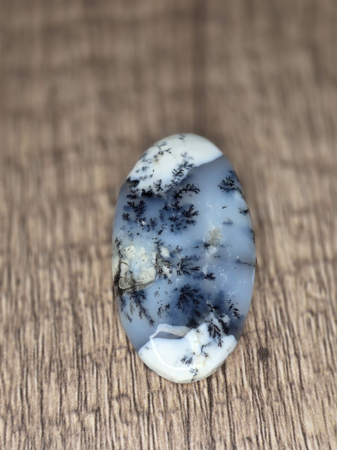 Dendritic Opal, cabochon
