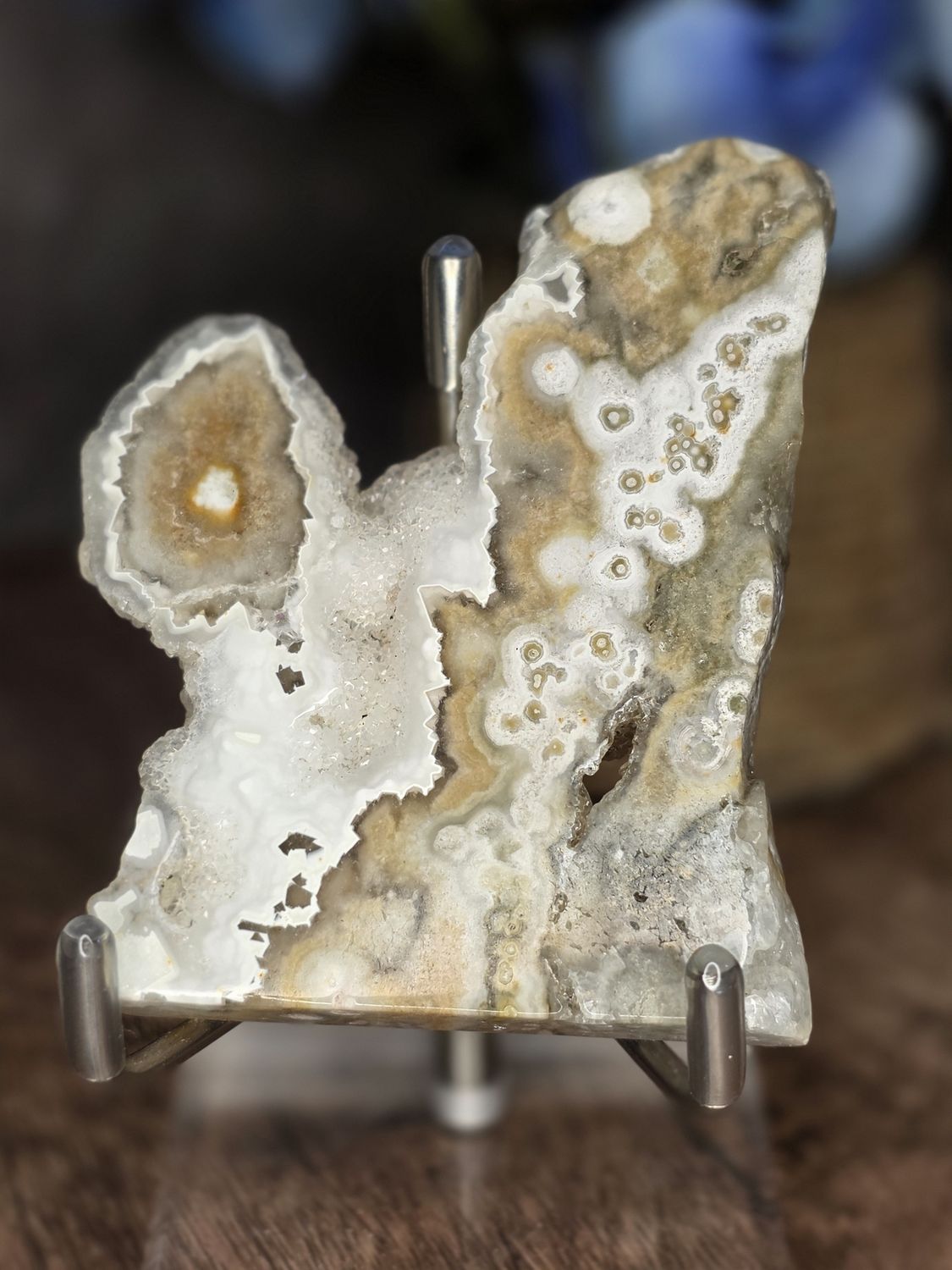 8th Vein Ocean Jasper