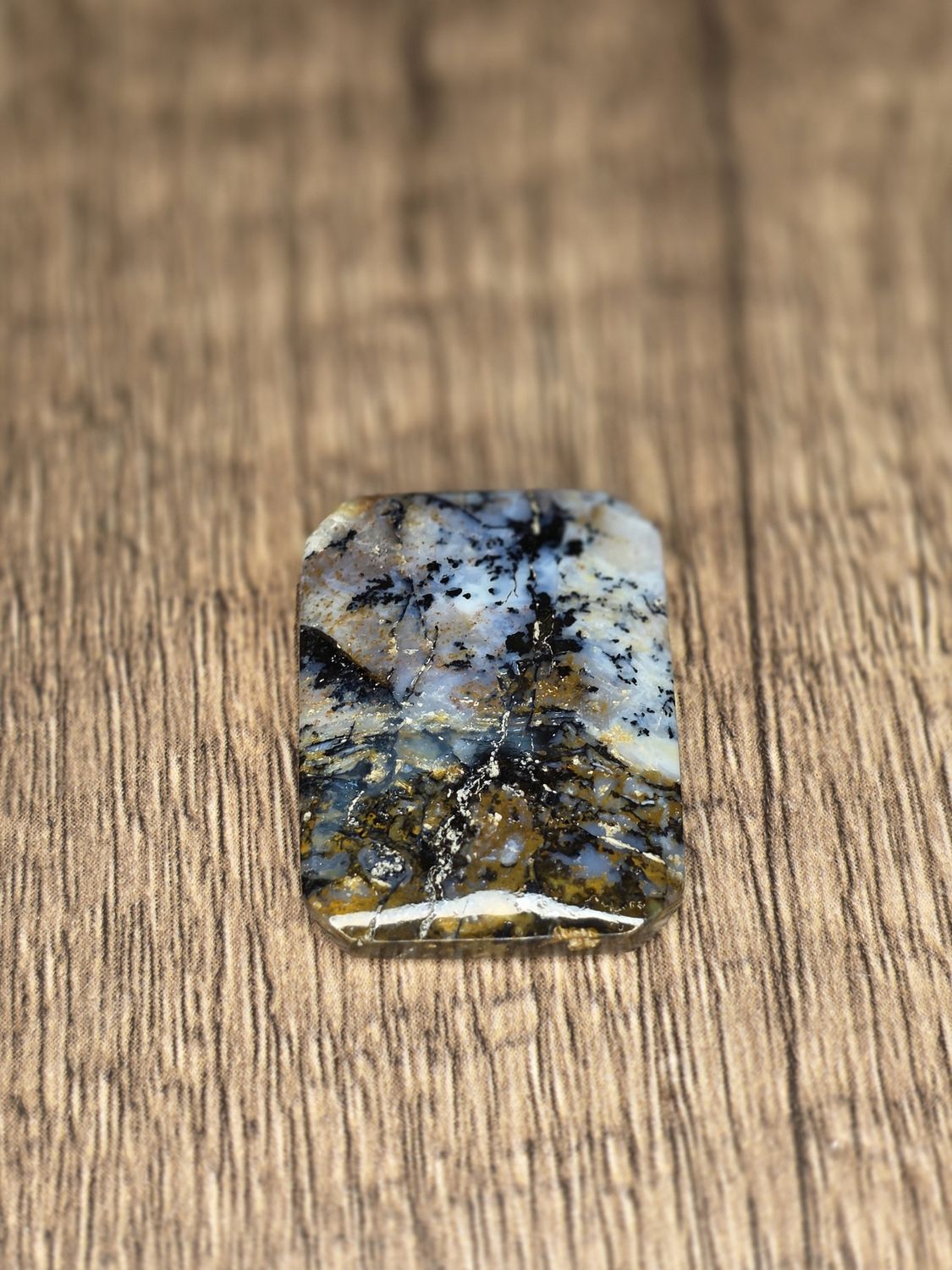 Indonesian Opalized Wood #5, cabochon