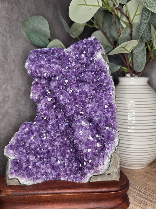 Amazing Amethyst w/custom wooden stand #4