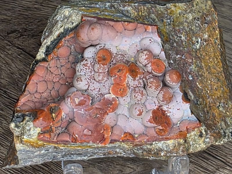 Botryoidal Red Fighting Agate