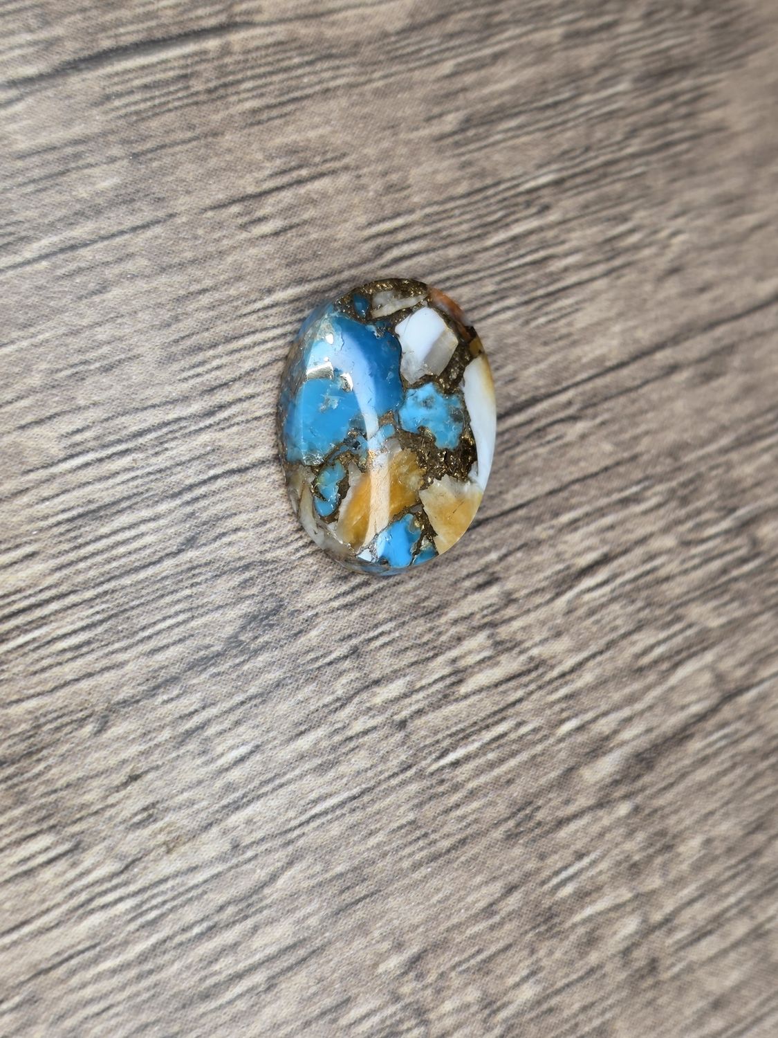 Spiny, Oyster, Turquoise, cabochon