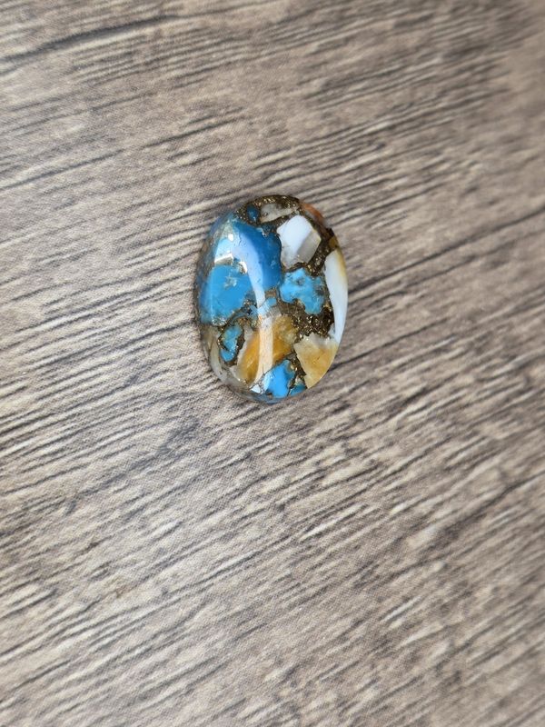 Spiny, Oyster, Turquoise, cabochon