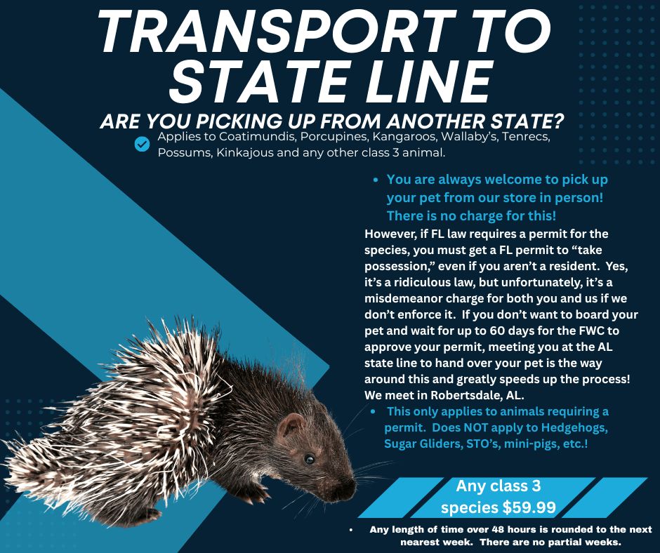 Transport to state line