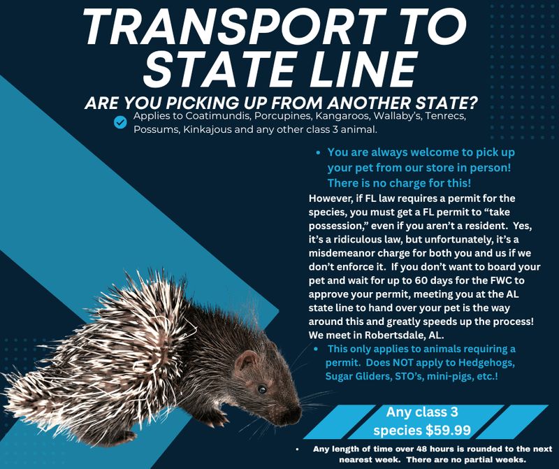 Transport to state line