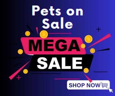Pets on sale!
