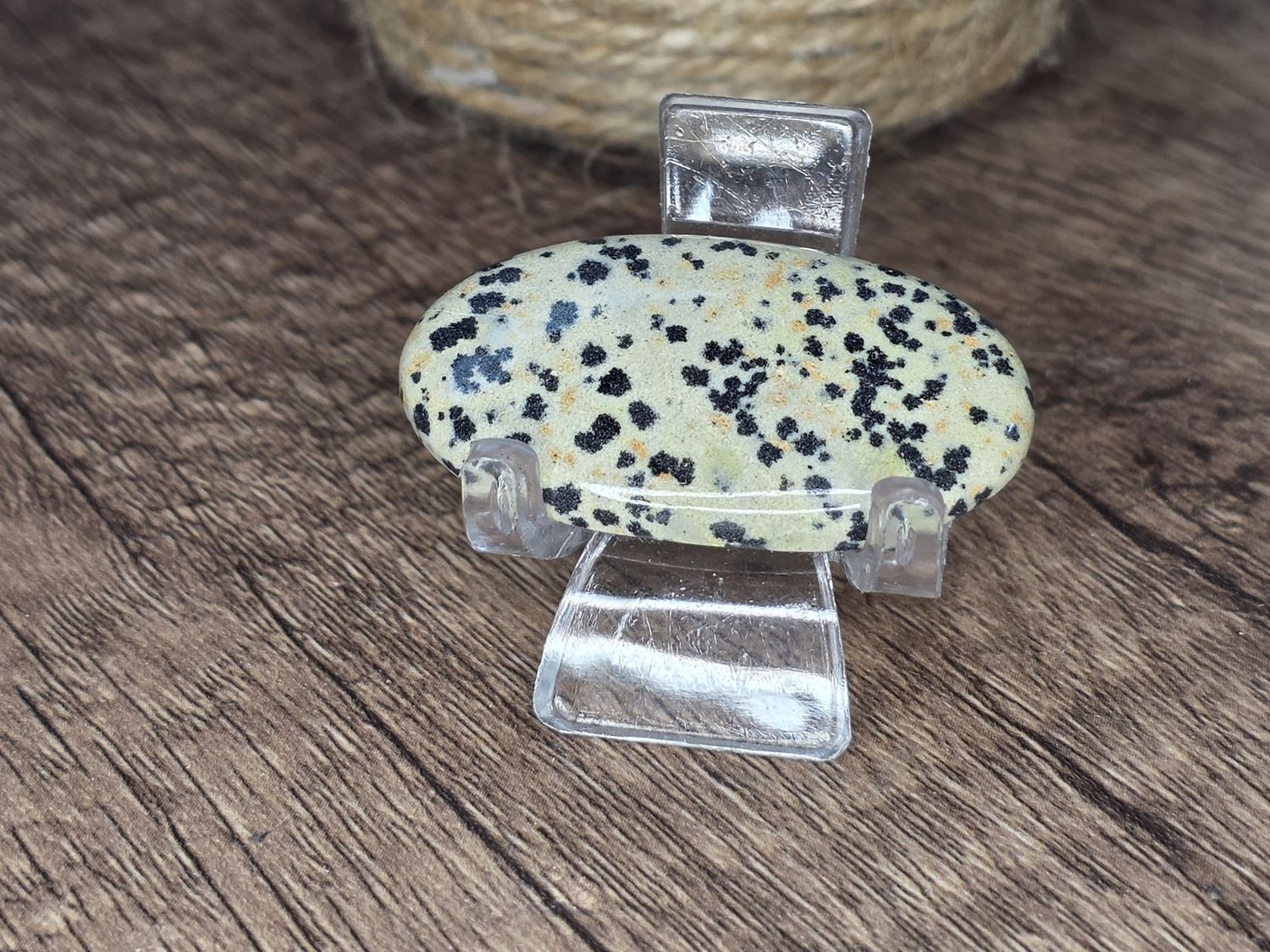 Dalmatian Jasper, cabochon