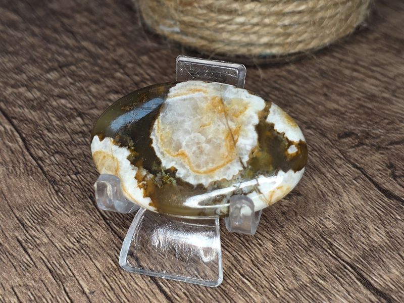 Wild Horse Jasper, cabochon