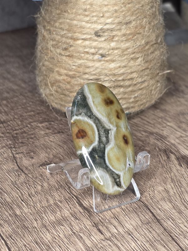 Ocean Jasper, cabochon #5