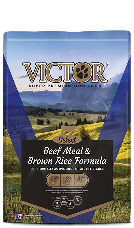 Victor Beef &amp; Brown Rice, Size: 5 lbs