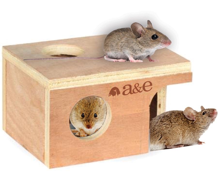 A &amp; E Cages Small Animal Hut, Choose: Mouse