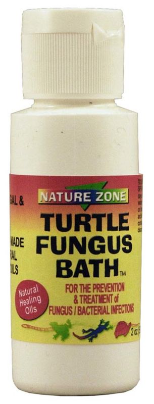 turtle fungus bath