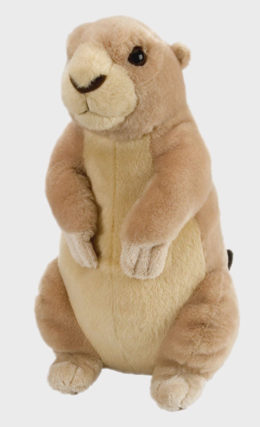 Ck Prairie Dog Stuffed Animal 12"