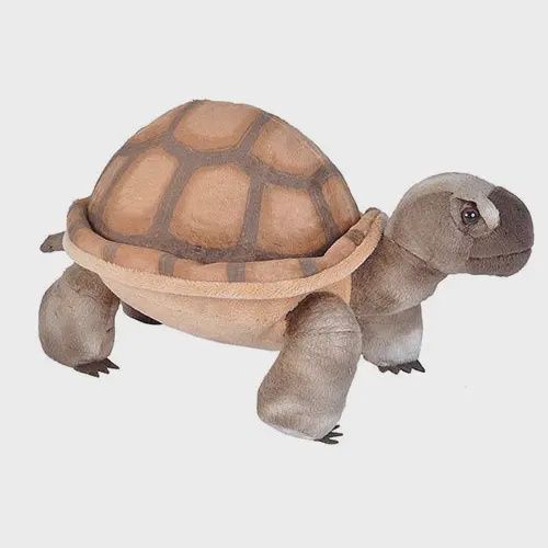 Ck Desert Tortoise Stuffed Animal 12"