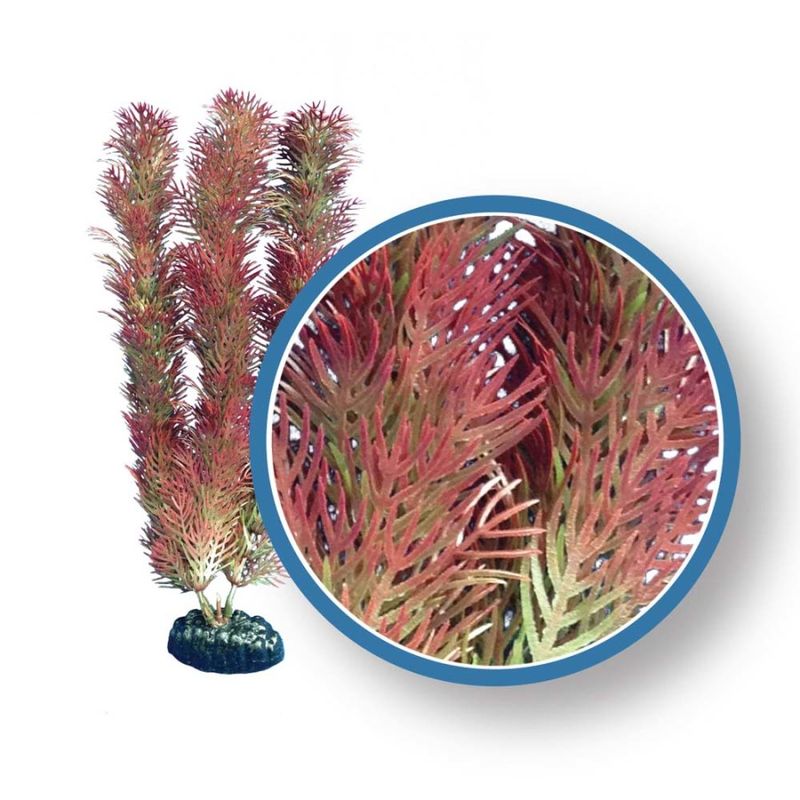 Weco Products Freshwater Pro Series Cabomba Aquarium Plant Red, 1ea/12 in