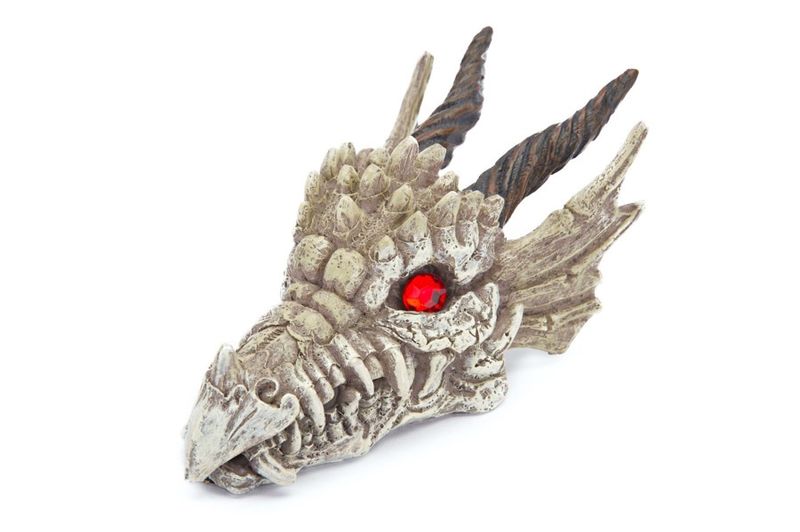 Penn-Plax Dragon Skull Gazer Aquarium Ornament 1ea/3 in, SM