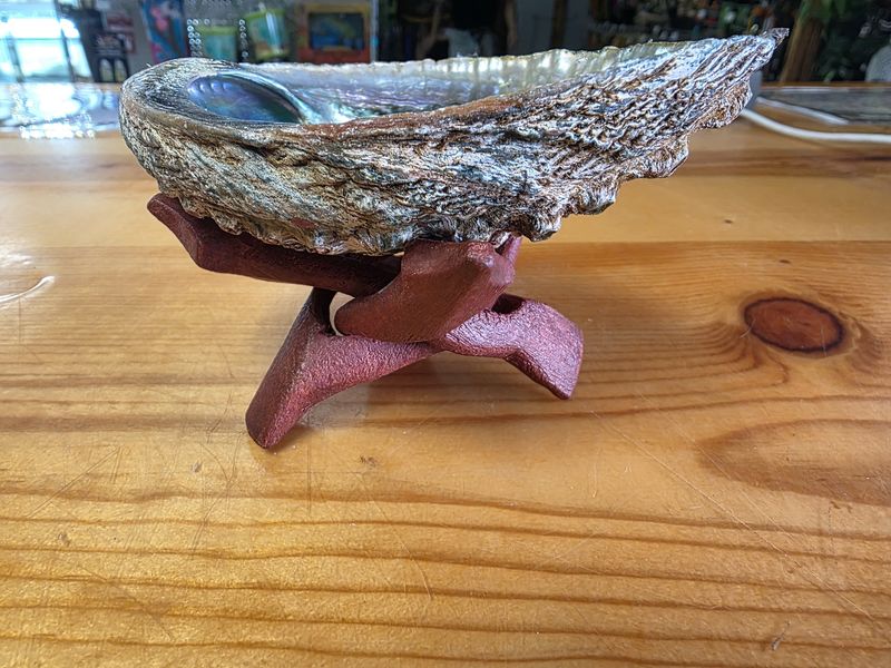 Abalone Shell w/wooden stand
