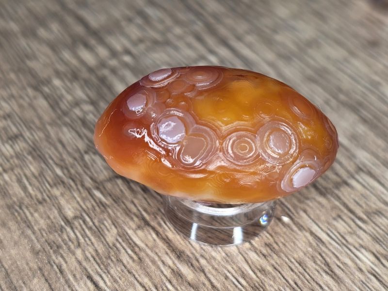 Gobi Eye Agate, #31