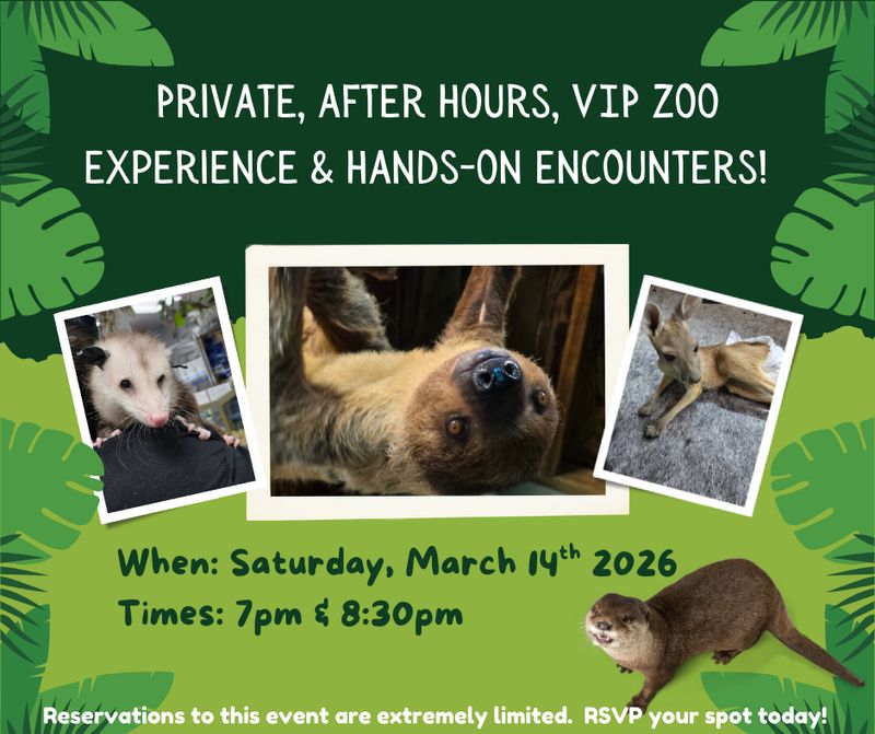 Private, after hours, VIP Zoo experience and encounters!