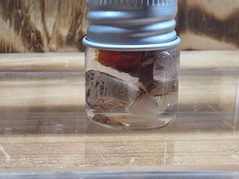 Mexican Opals in jar!