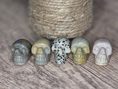 Polished Skulls, pick your favorite!