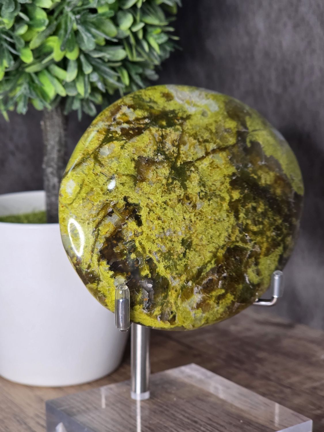 Large, Opal palm stone