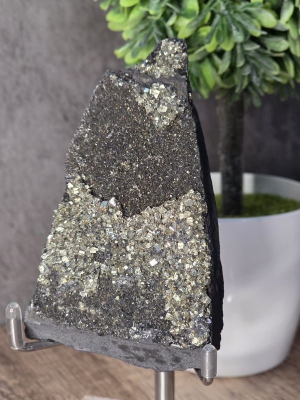 Pyrite on Shungite #1.  Amazing piece!