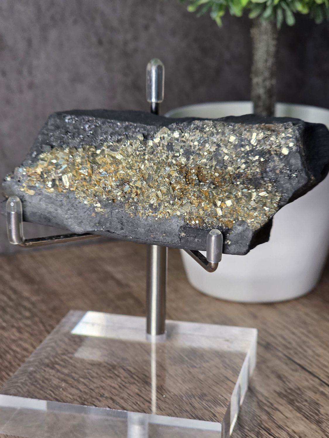 Pyrite on Shungite #2.  Amazing piece!