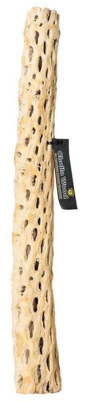 Galapagos Cactus Skeleton Cholla Wood Brown,  1ea/36 in