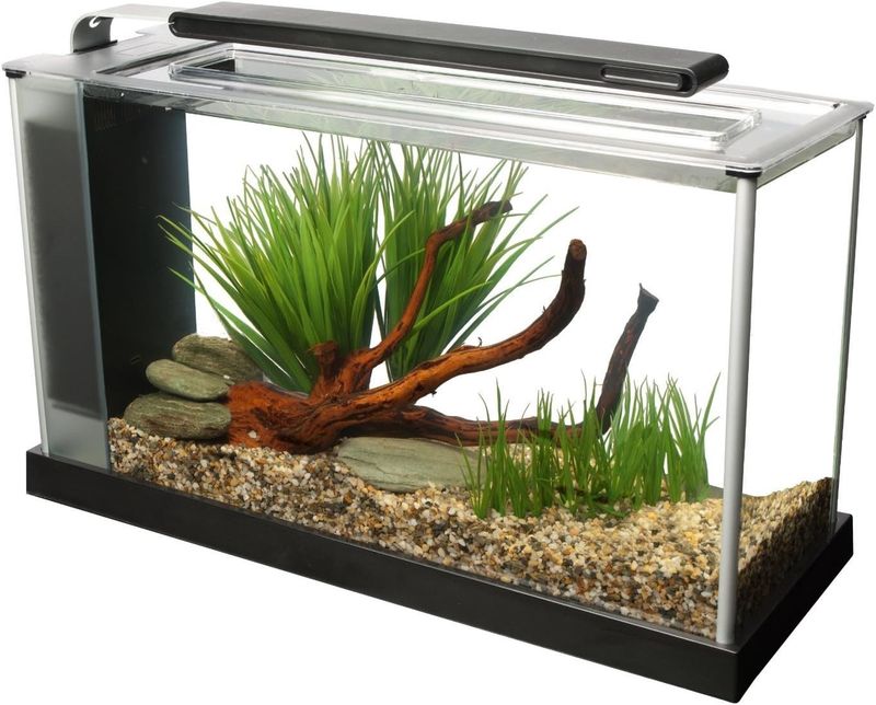 Fluval Spec V Aquarium Kit Black 5 gal