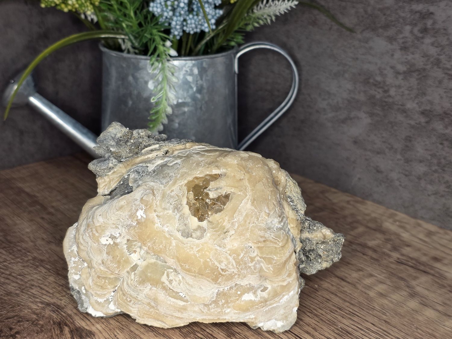 Fossilized Clam Shell w/Calcite