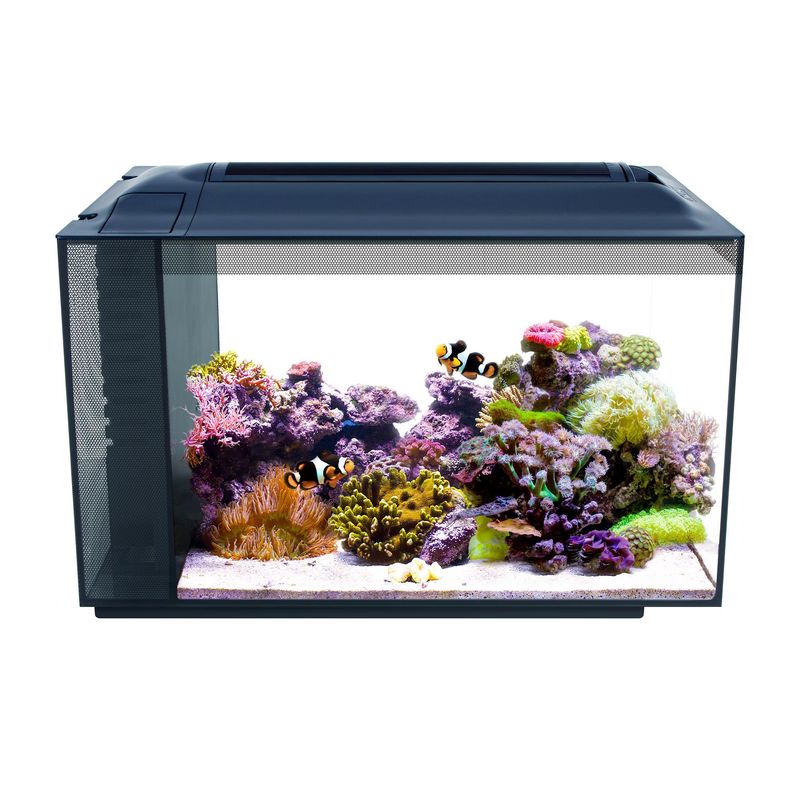 Fluval Sea EVO XII Saltwater Aquarium Kit 12 gal