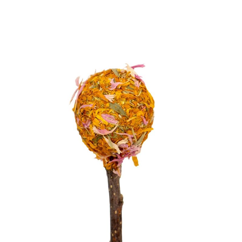 A &amp; E Cages Nibbles Garden Crunch Hay Pops Small Animal Toy