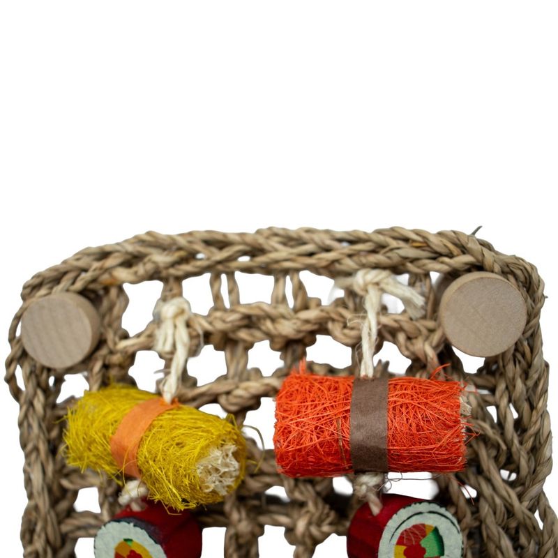 A &amp; E Cages Nibbles Maki Munchies Mat Small Animal Toy