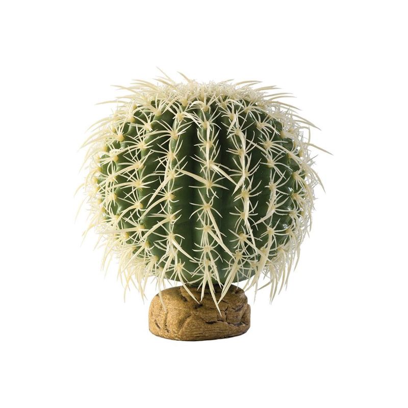 Exo Terra Barrel Cactus Terrarium Plant Medium