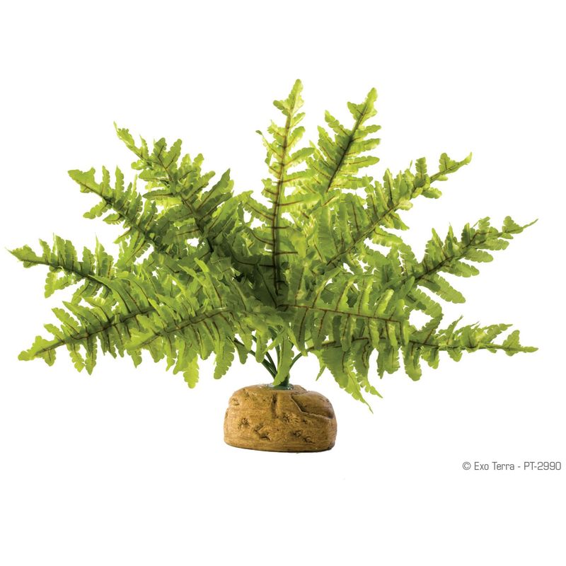 Exo Terra Boston Fern Terrarium Plant Small