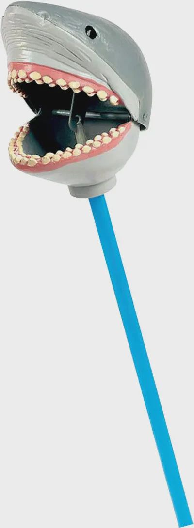 Pincher Great White Shark