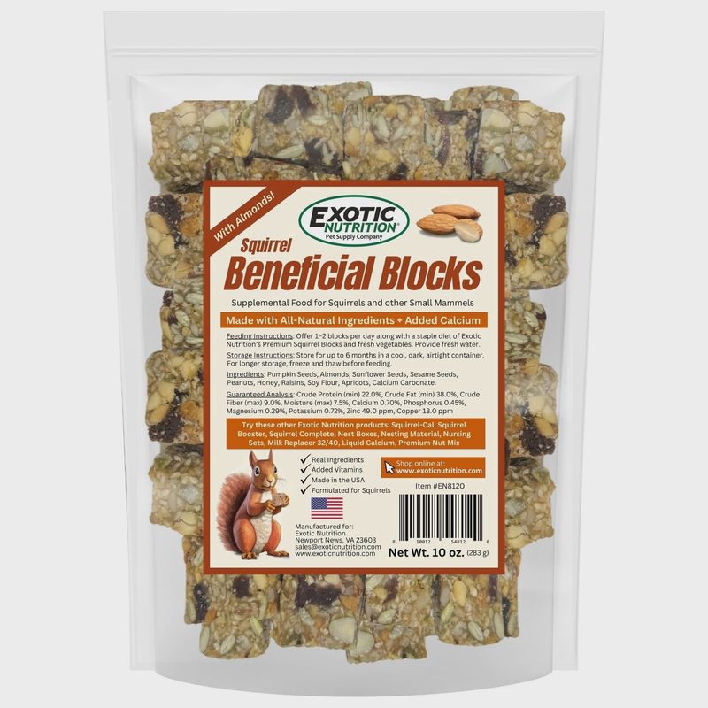 Squirrel Beneficial Blocks Squirrel Food