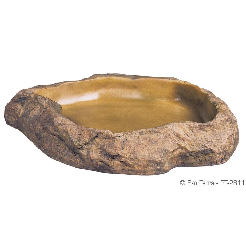 Exo Terra Feeding Dish Medium