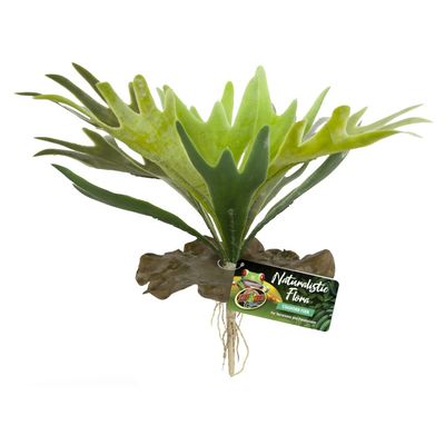 Zoo Med Naturalistic Flora Staghorn Fern Terrarium Plant