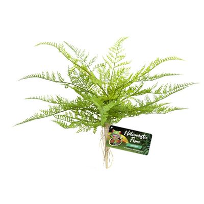 Zoo Med Naturalistic Flora Lace Fern Terrarium Plant