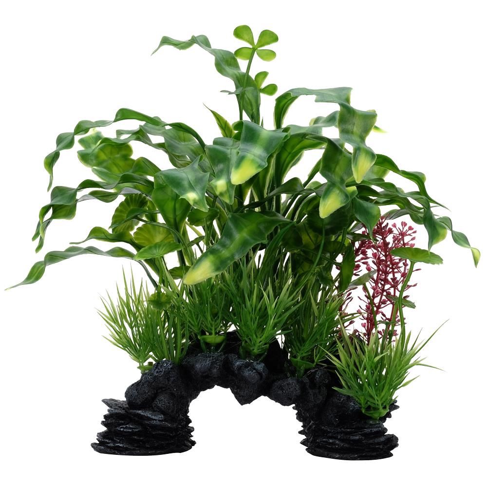 Fluval Curly Aponogeton Mix Plant / Decor 10"