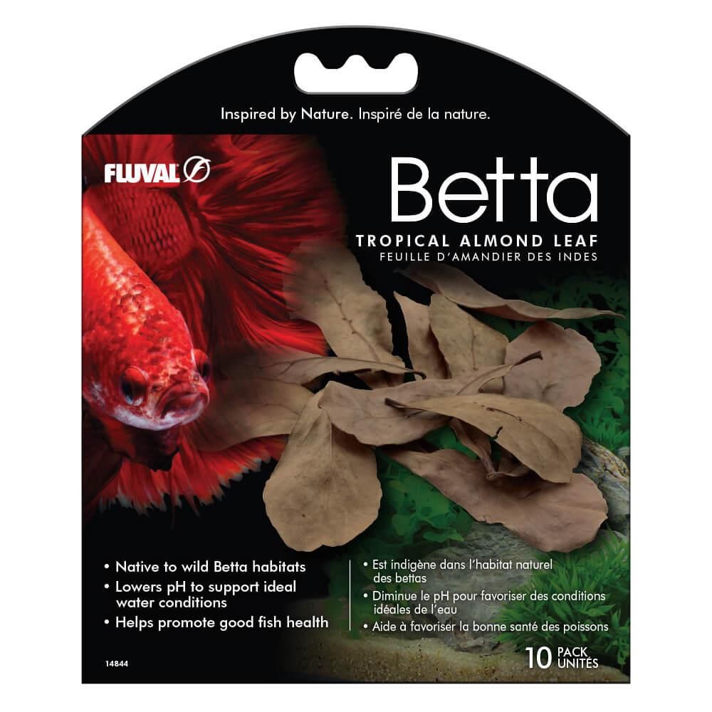 Fluval Betta Tropical Almond Leaves 10 pack