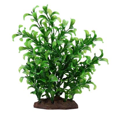 Fluval Large Bacopa Plant Set 8"